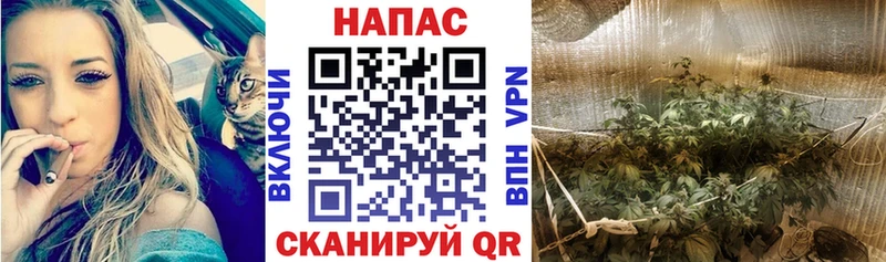 Хочу наркоту Гай МАРИХУАНА  МЕФ  A PVP  ГАШИШ  Кокаин 
