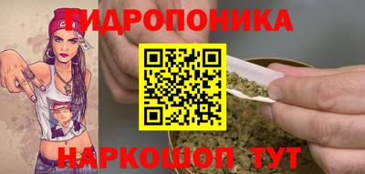 крисы Балаково