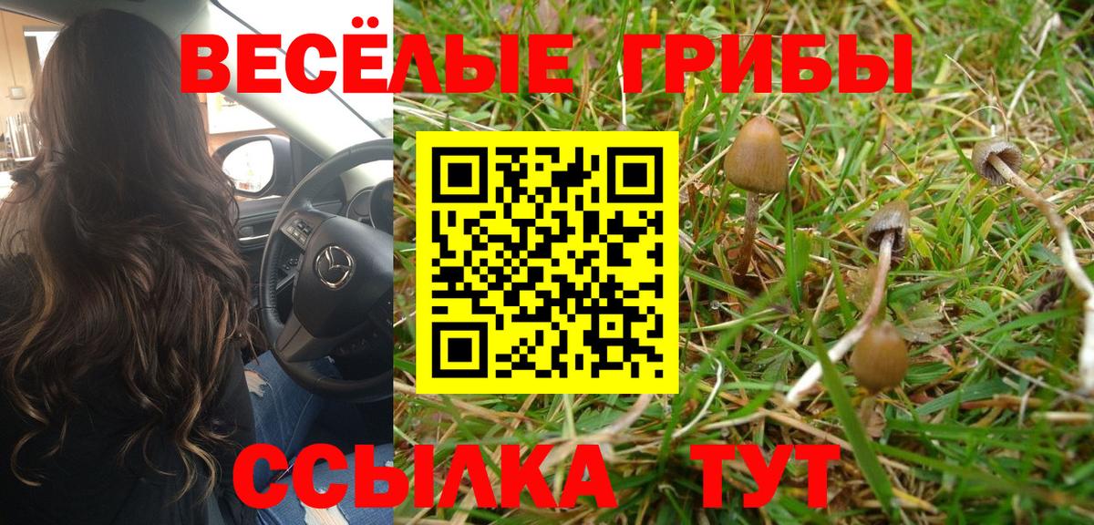 Псилоцибиновые грибы мицелий Гай