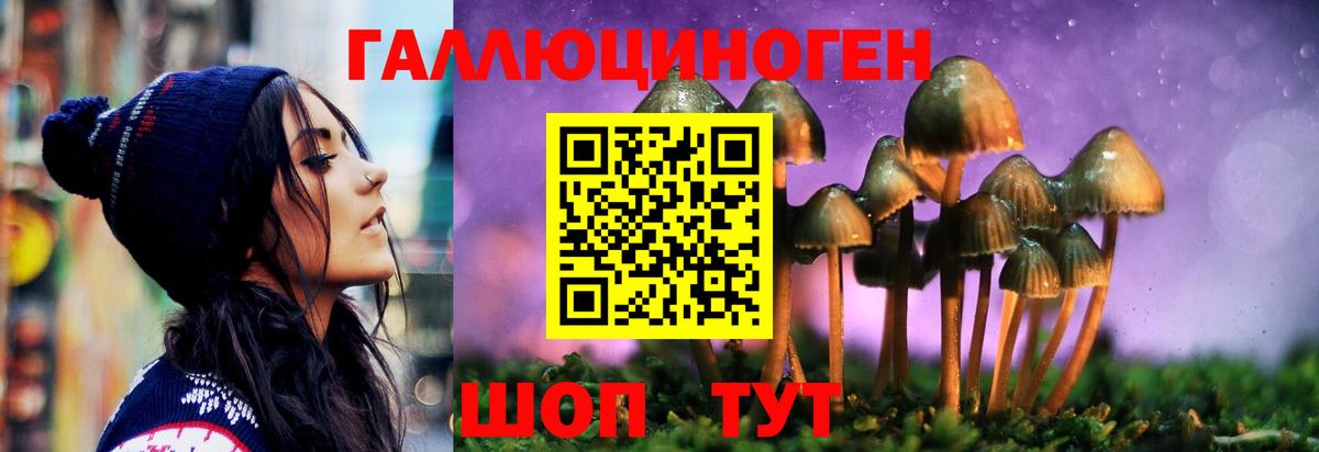 Галлюциногенные грибы мухоморы  Гай  Псилоцибиновые грибы прущие грибы 