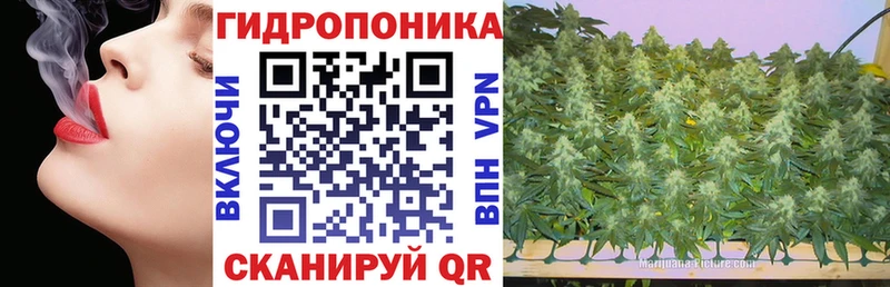 ОМГ ОМГ как войти  Гай  Шишки марихуана THC 21% 